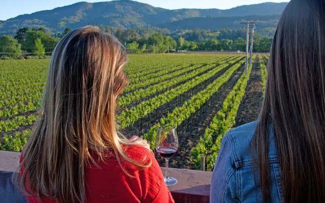 platypus-wine-tours-small-tours